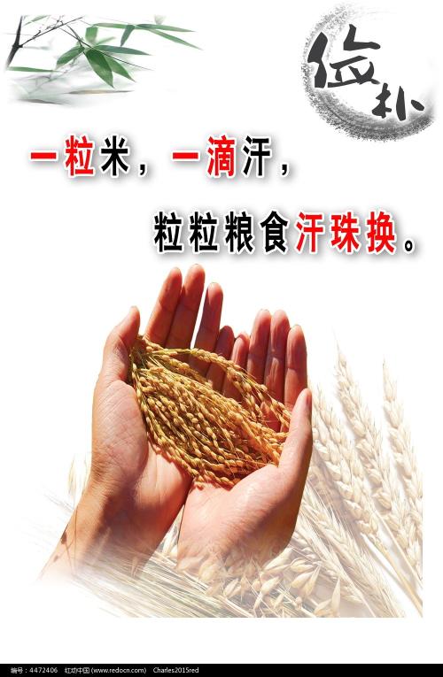 TheGeorgeWashingtonUniversity本科成绩单